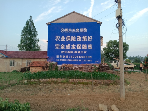  泰宁墙体广告为何受追捧？